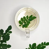 Rahasia Waktu Terbaik Minum Air Rebusan Daun Kelor untuk Mendukung Diet Anda